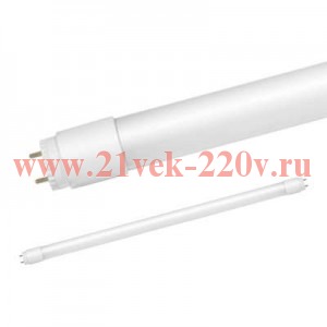 Лампа светодиодная LED-T8-М-PRO 10Вт матовая 6500К холод. бел. G13 800лм 230В 600мм неповорот. IN HO