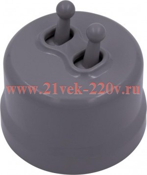 Выключатель 2-клавишный Лизетта, пластик титан (тумблерный) Bironi B1-232-26