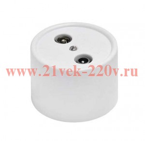 Розетка R/TV-Sat оконечная Лизетта, керамика белый Bironi B1-305-01