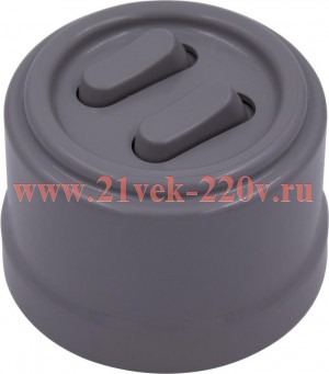 Выключатель 2-клавишный Лизетта, пластик титан (клавишный) Bironi B1-222-26