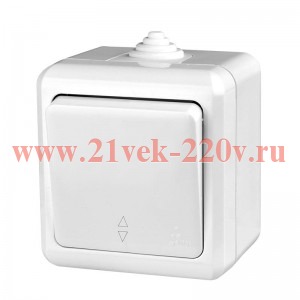 Переключатель 1-кл. ОП Dita IP54 10А 250В бел. TOKOV LIGHT TKL-DT-P1-C01-IP54