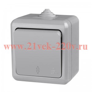 Переключатель 1-кл. ОП Dita IP54 10А 250В сер. TOKOV LIGHT TKL-DT-P1-C06-IP54