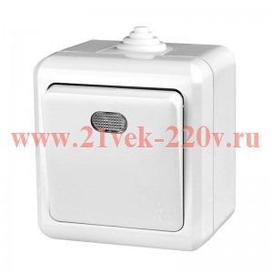 Выключатель 1-кл. ОП Dita IP54 10А 250В с индикацией бел. TOKOV LIGHT TKL-DT-V1I-C01-IP54