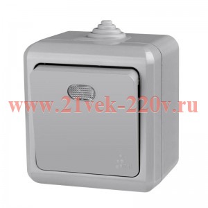 Выключатель 1-кл. ОП Dita IP54 10А 250В с индикацией сер. TOKOV LIGHT TKL-DT-V1I-C06-IP54
