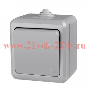 Выключатель 1-кл. ОП Dita IP54 10А 250В сер. TOKOV LIGHT TKL-DT-V1-C06-IP54