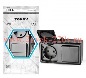 Блок ОП Dita (розетка 16А 250В с заземл. + 2-кл. выкл. 10А) IP54 карбон TOKOV ELECTRIC TKL-DT-V2RZ-C