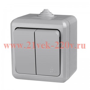 Выключатель 2-кл. ОП Dita IP54 10А 250В сер. TOKOV LIGHT TKL-DT-V2-C06-IP54