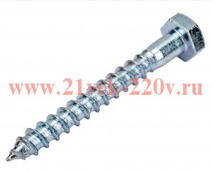 Болт DIN 571 сантехнический оцинк. 10х70 (уп.2шт) Tech-Krep 103882