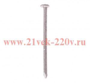 Гвоздь строительный 2.0х50 (уп.250г) Tech-Krep 113999
