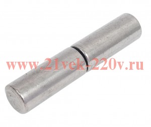 Петля гаражная 22х110 с шаром накладная Tech-Krep 145089