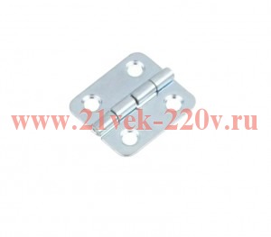 Петля карточная 22х24 цинк (пакет) Tech-Krep 145719