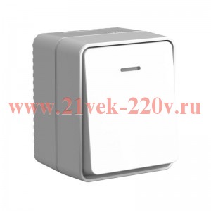 Выключатель 1-кл. ОП AtlasDesign PROFI IP54 с подсветкой 10 АХ сер. SE ATN543013
