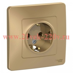 Розетка с заземлением 2Р+Е без шторок 16А, 250В с/у Blanca Systeme Electric титан