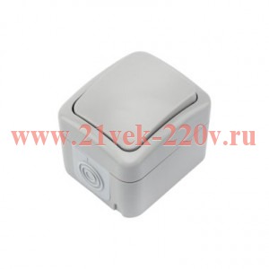 Выключатель 1-кл. ОП Mini OG IP54 сер. Kranz KR-78-0835