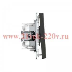 Переключатель 2-кл. ArtGallery 10AX быстрозажим. клем. механизм базальт SE GAL001465S