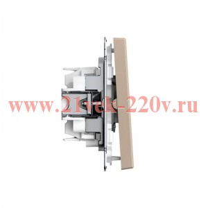 Выключатель кнопочный 2-кл. ArtGallery 10AX быстрозажим. клем. механизм песочн. SE GAL001217S