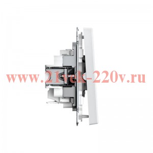 Выключатель 2-кл. ArtGallery 10AX быстрозажим. клем. механизм бел. SE GAL000151S