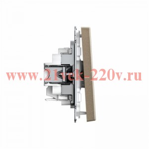 Выключатель кнопочный 1-кл. ArtGallery быстрозажим. клем. механизм шампань SE GAL000515S