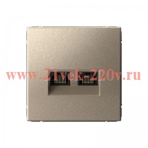 Розетка двойная компьютерная ArtGallery RJ45+RJ45 кат. 6A механизм шампань SE GAL000588