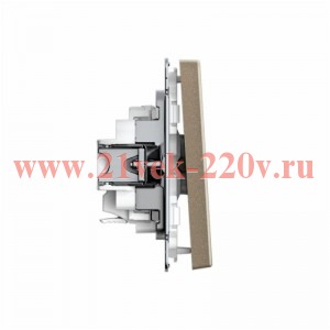 Выключатель 1-кл. ArtGallery 10AX быстрозажим. клем. механизм шампань SE GAL000511S