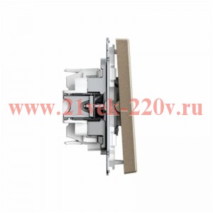 Выключатель кнопочный 2-кл. ArtGallery 10AX быстрозажим. клем. механизм шампань SE GAL000517S