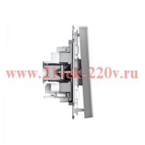 Выключатель 1-кл. ArtGallery 10AX быстрозажим. клем. механизм сталь SE GAL000911S