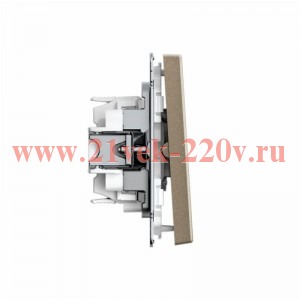 Переключатель 2-кл. ArtGallery 10AX быстрозажим. клем. механизм шампань SE GAL000565S