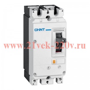 Выключатель автоматический 2п 40А 36кА NM8NDC-125C TM с рег. термомаг. расцеп. (R) CHINT 275589