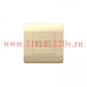 Розетка компьютерная NEW3-E 2хRJ45 шампань CHINT 431455