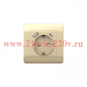 Розетка 1-м NEW3-E 16А с заземл. защ. шторки + 2-м USB тип A+C 5В/21А шампань CHINT 431453
