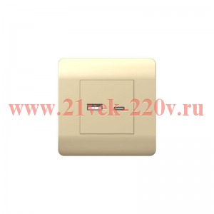 Розетка USB NEW3-E тип A+C 5В/21А шампань CHINT 431450