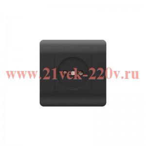 Розетка 1-м NEW3-E 16А без заземл. защ. шторки черн. CHINT 431486