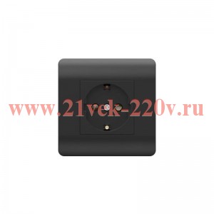 Розетка 1-м NEW3-E 16А с заземл. защ. шторки черн. CHINT 431484