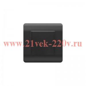 Розетка 1-м NEW3-E 16А IP44 с заземл. защ. шторки с крышкой черн. CHINT 431500