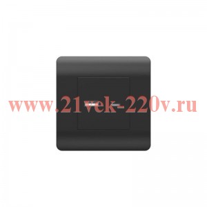 Розетка USB NEW3-E тип A+C 5В/21А черн. CHINT 431501