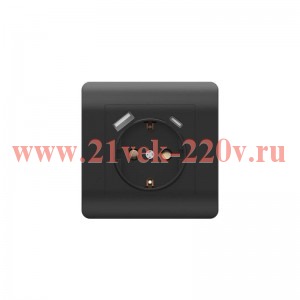 Розетка 1-м NEW3-E 16А с заземл. защ. шторки + 2-м USB тип A+C 5В/21А черн. CHINT 431502