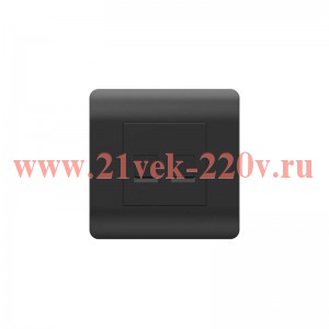 Розетка компьютерная NEW3-E 2хRJ45 черн. CHINT 431503
