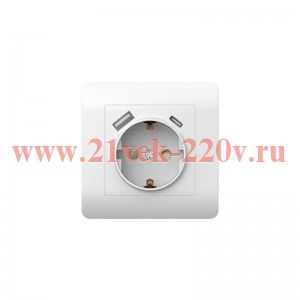 Розетка 1-м NEW3-E 16А с заземл. защ. шторки + 2-м USB тип A+C 5В/21А бел. CHINT 431552