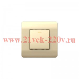 Выключатель 1-кл. NEW3-E 10А без фиксации с индикацией шампань CHINT 431402
