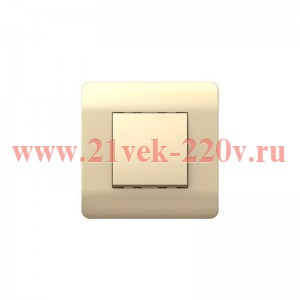 Переключатель перекрестный 1-кл. NEW3-E 10А шампань CHINT 431384