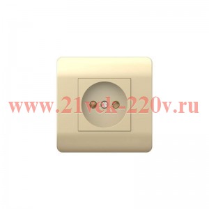 Розетка 1-м NEW3-E 16А без заземл. защ. шторки шампань CHINT 431408