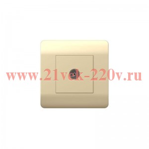 Розетка телевизионная TV 1-м коннектор шампань NEW3-E CHINT 431410