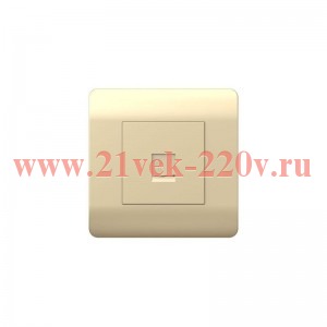 Розетка телефонная 1-м NEW3-E RJ11 шампань CHINT 431414