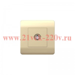 Розетка телевизионная SAT 1-м коннектор шампань NEW3-E CHINT 431412