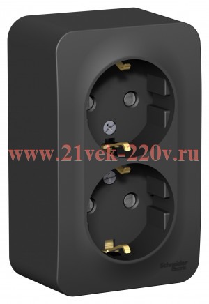 Розетка 2-ая с заземлением со шторками Blanca Schneider Electric 16А 250В антрацит изол.пластина