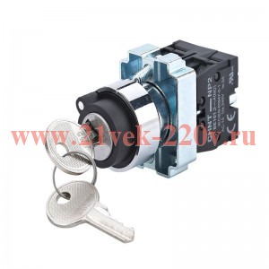 Переключатель NP2-BG25 2 положения фиксацией 1НО+1НЗ IP40 (R) CHINT 573988