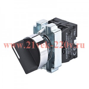 Переключатель NP2-BD33, 3 положения фиксацией, 2НО, IP40 (R)