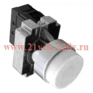 Кнопка управления NP2-BL15 без подсветки 1НО+1НЗ IP40 (R) бел. CHINT 576042