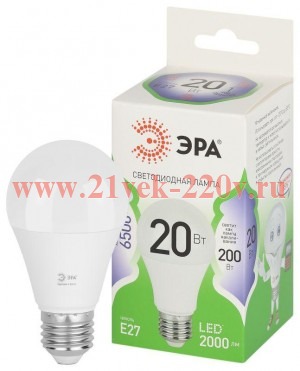 Лампа светодиодная GREEN LINE A60-20W-865-E27 GL 20Вт груша 6500К свет холод. E27 Эра Б0067102