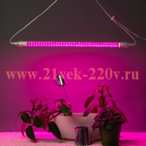 Светильник FITO-9W-Rb-Т8+FITO-Holder IP65 2хG13 линейный для растений с выключателем 1.5м Эра Б00695